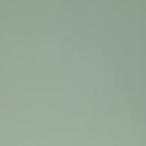 Meet your Posher, Kendall